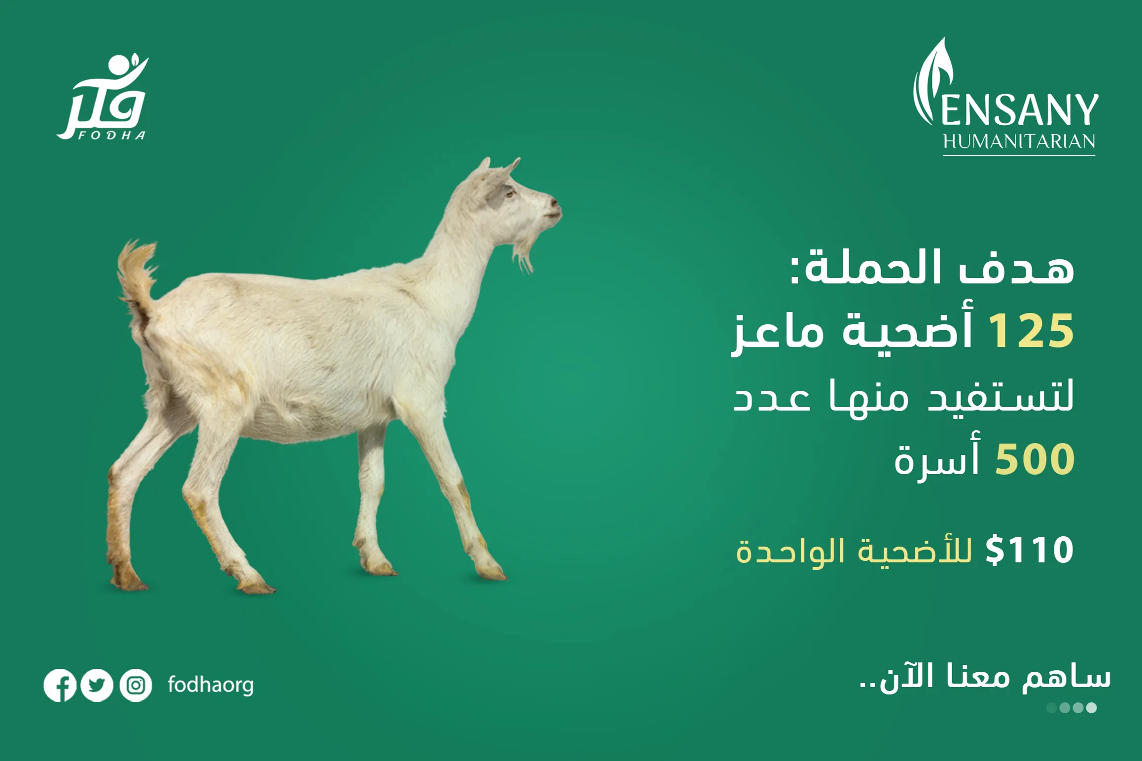 let's make them happy with a Qurbani